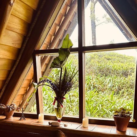 Villa 47 Nuwaraeliya ヌワラ・エリヤ エクステリア 写真