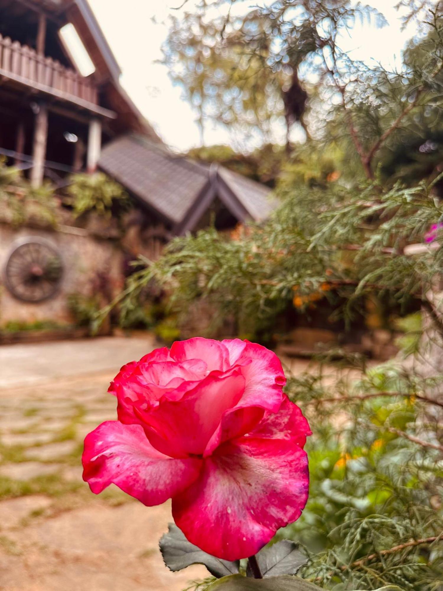 Villa 47 Nuwaraeliya ヌワラ・エリヤ エクステリア 写真