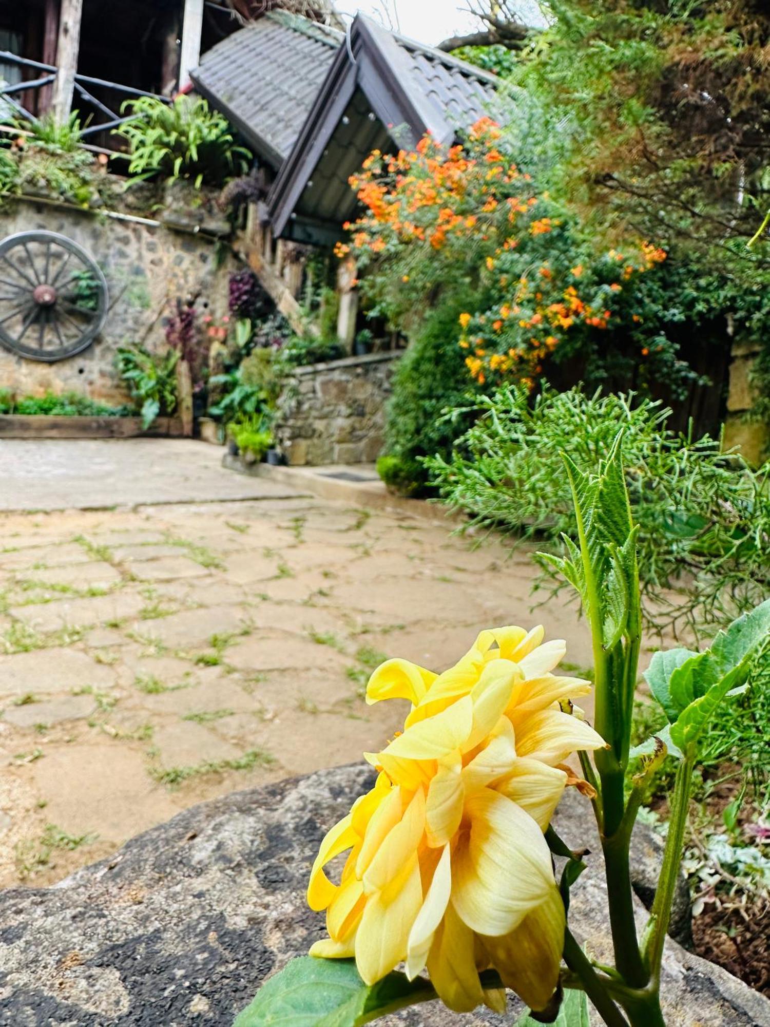 Villa 47 Nuwaraeliya ヌワラ・エリヤ エクステリア 写真