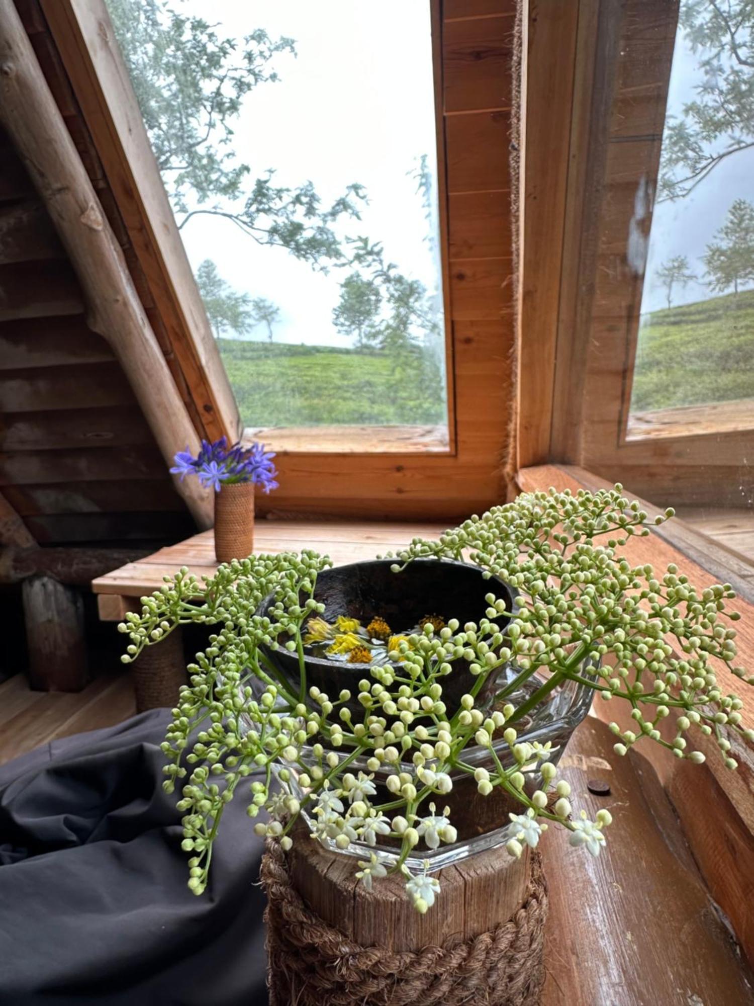Villa 47 Nuwaraeliya ヌワラ・エリヤ エクステリア 写真