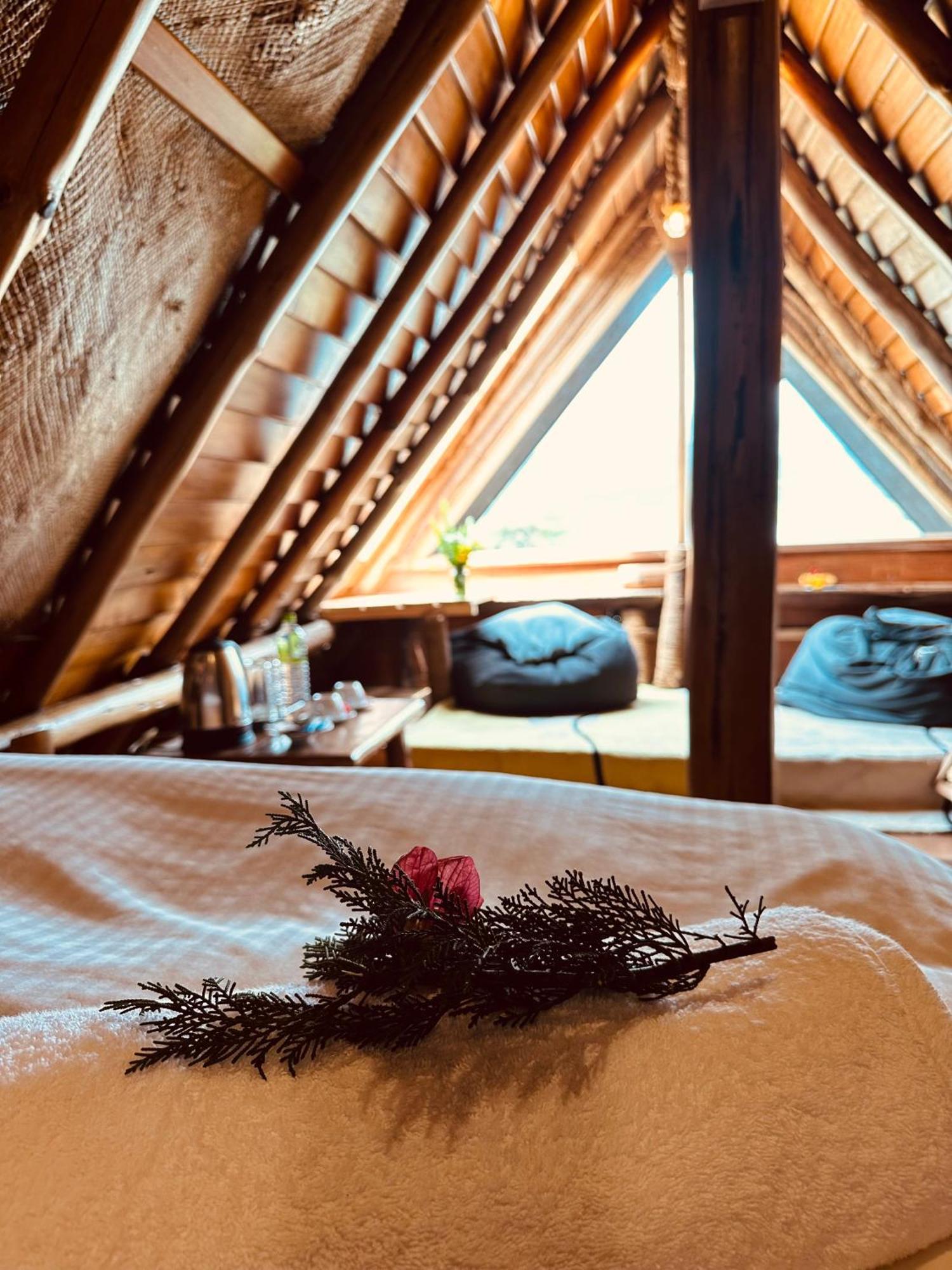 Villa 47 Nuwaraeliya ヌワラ・エリヤ エクステリア 写真