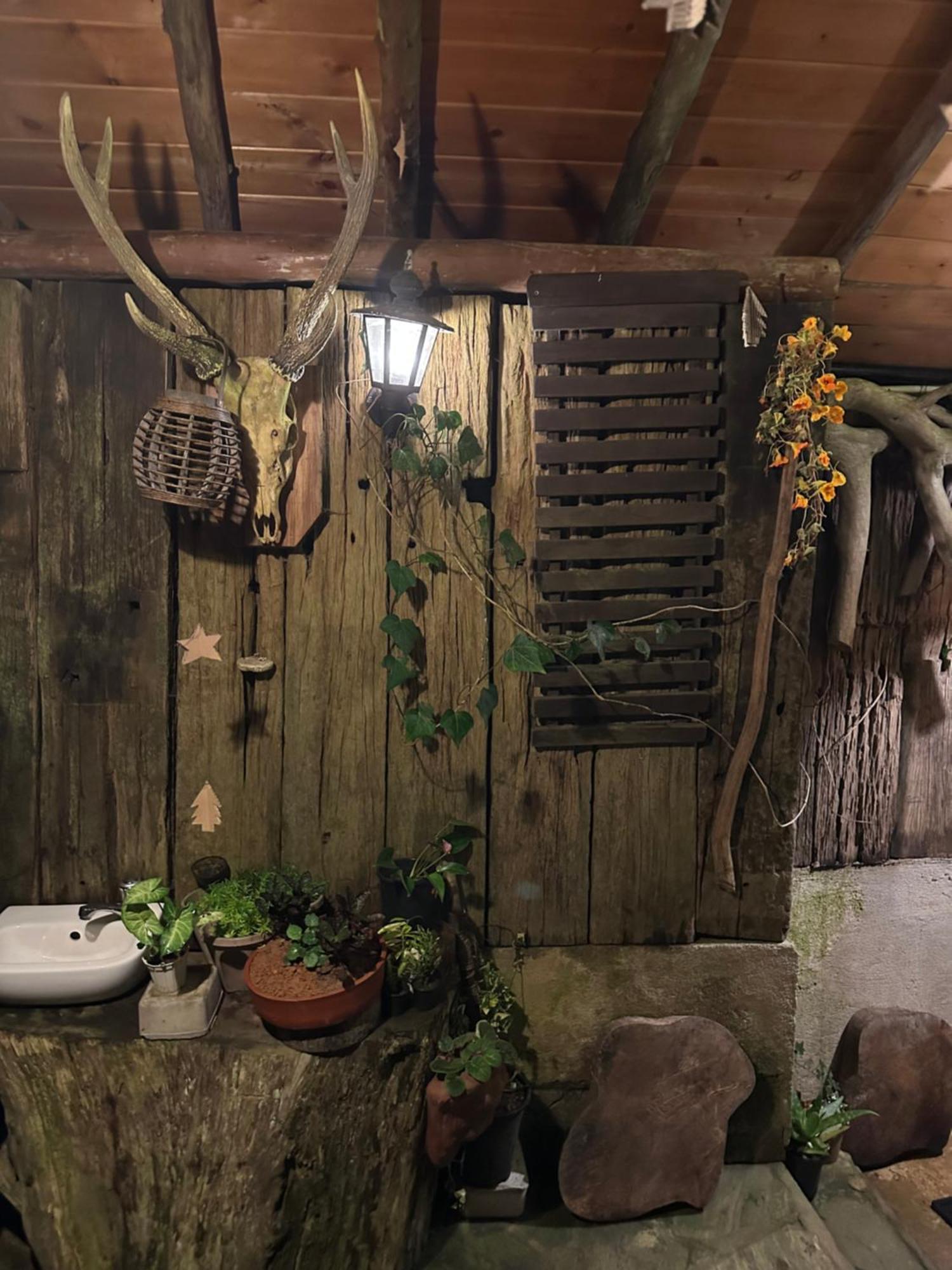 Villa 47 Nuwaraeliya ヌワラ・エリヤ エクステリア 写真