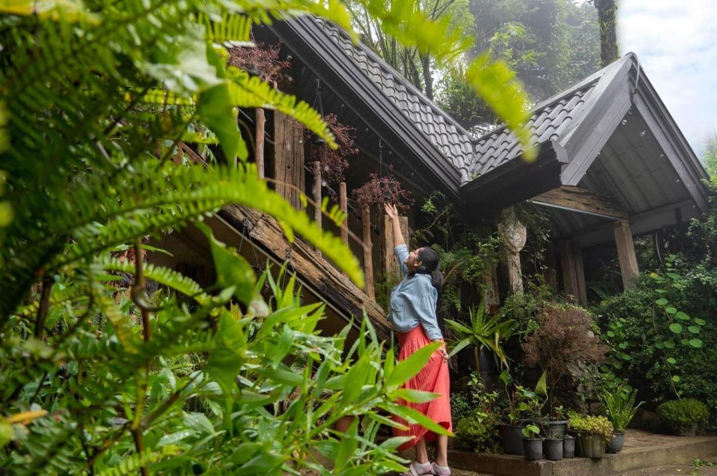 Villa 47 Nuwaraeliya ヌワラ・エリヤ エクステリア 写真