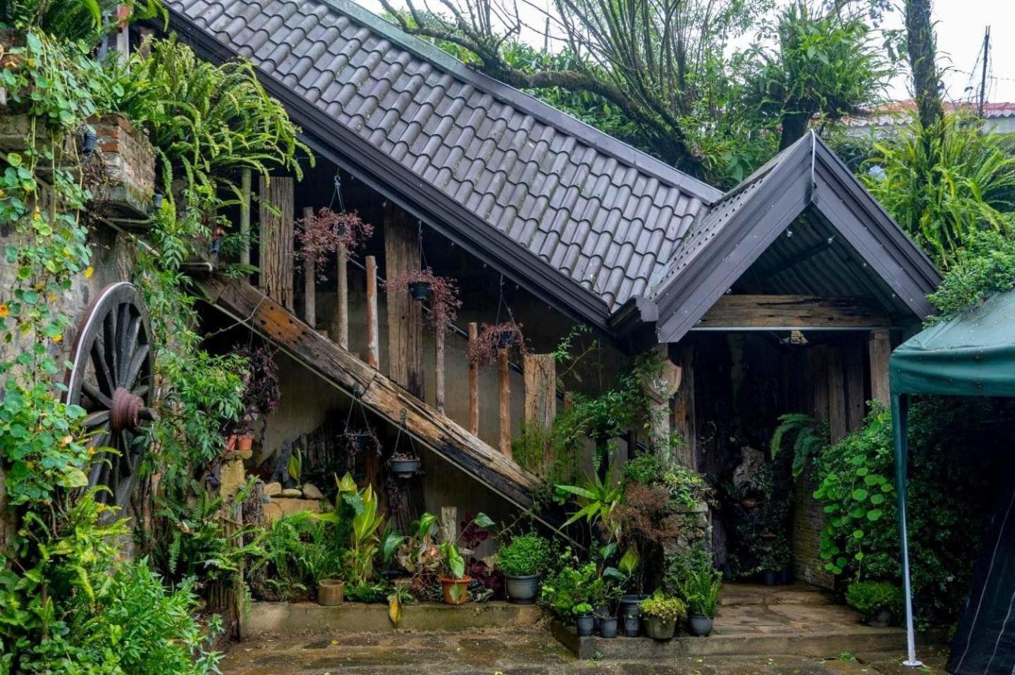 Villa 47 Nuwaraeliya ヌワラ・エリヤ エクステリア 写真